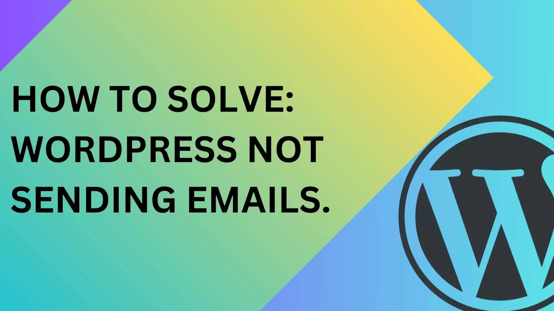 WordPress Not Sending Email Issue: How to solve it!