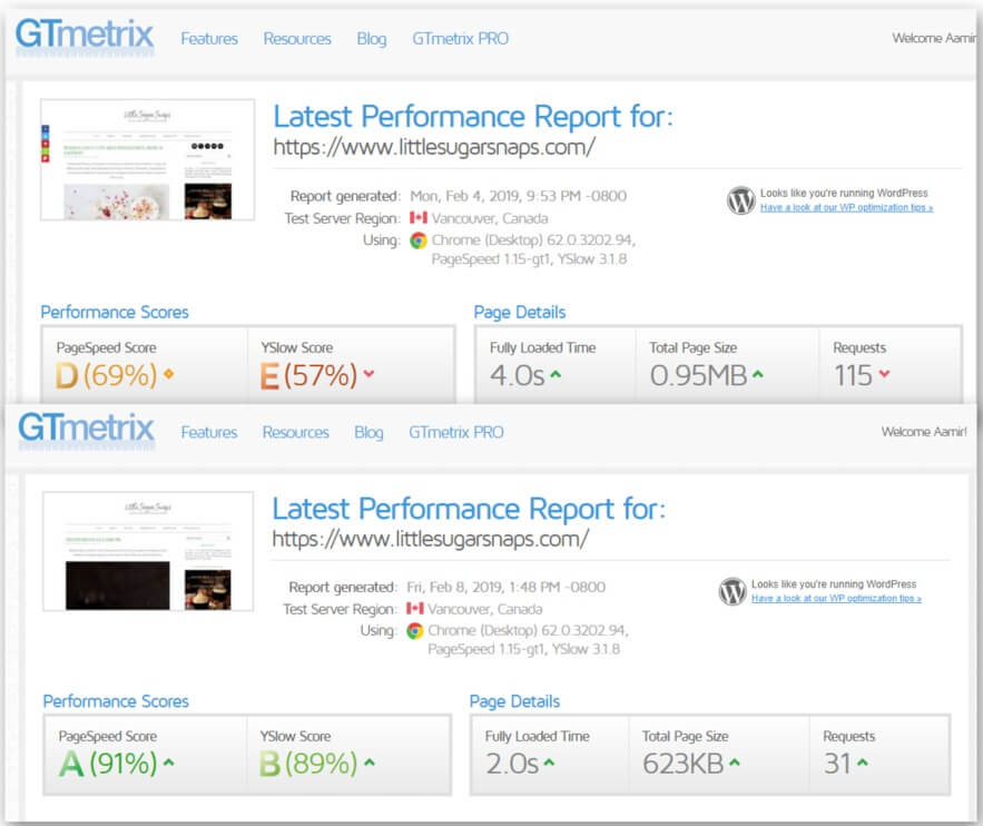 WordPress Speed Optimization Services