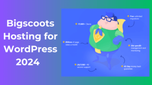 Bigscoots for WordPress a real experience